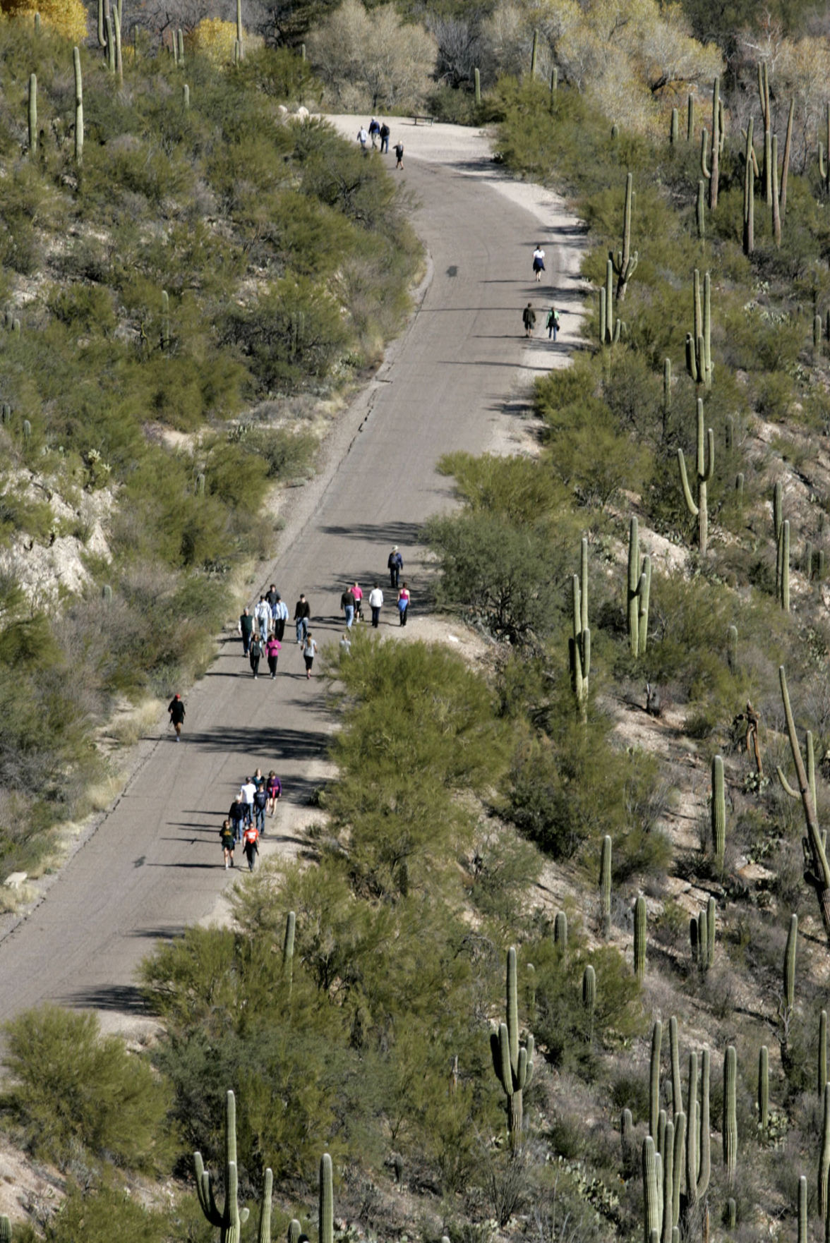 Sabino Canyon Recreation Area, Tucson